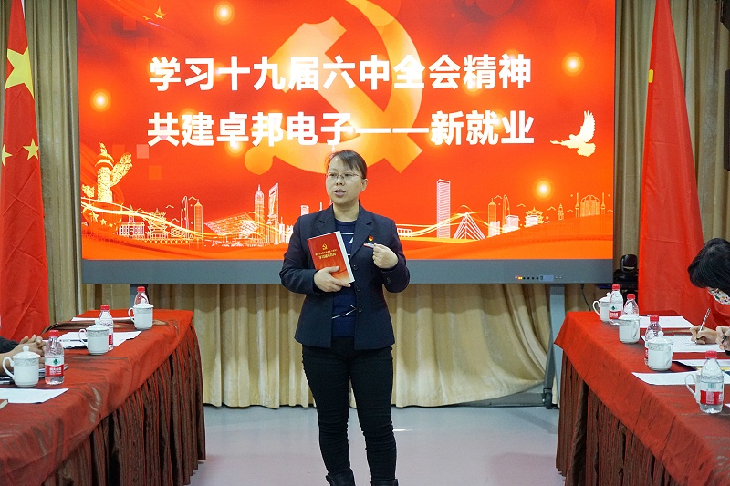 ZOBO香蕉视频在线播放党支部丨开展“学习贯彻党的十九届六中全会精神”主题党日活动