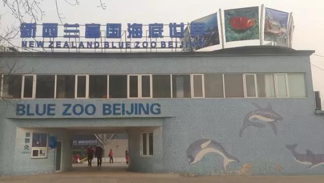 案例 ▎ZOBO香蕉视频在线播放为富国海底世界打造音视频系统